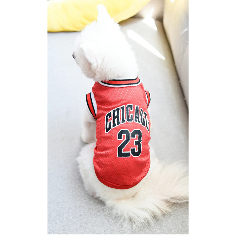 Roupinha Camiseta Basquete para Cachorros