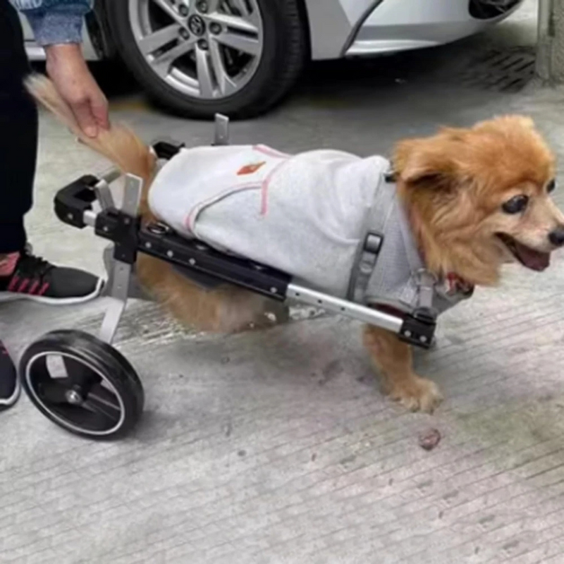 Cadeira de Rodas Ajustável para Suporte de Patas Traseiras de Cachorros