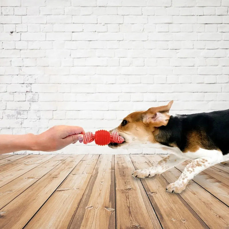 Brinquedo Corda Mordedor Resistente com Bola para Cachorros