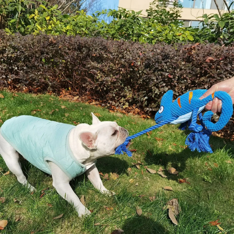 Brinquedo Pelúcia Camaleão Mordedor com Corda para Cachorros