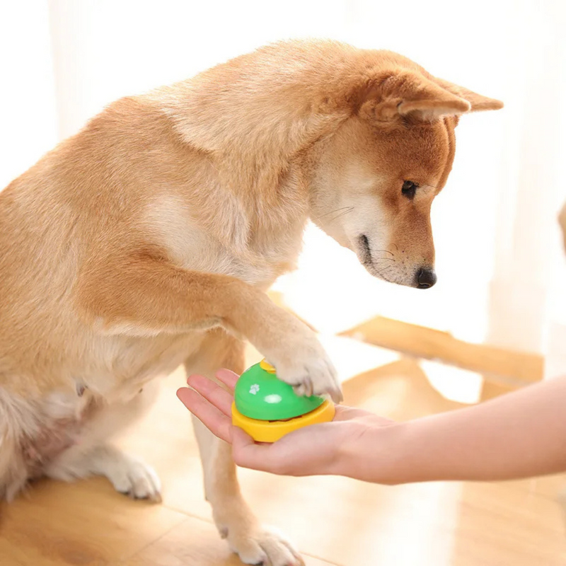 Botão Campainha Pet para Treinamento e Adestramento de Cachorros