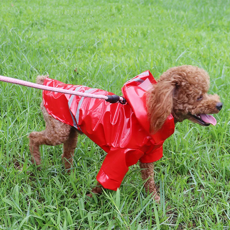 Capa de Chuva Pet com Capuz e Botões