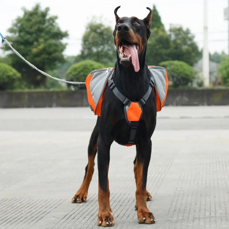 Bolsa Bag para Cachorro Adestramento e Treinamento