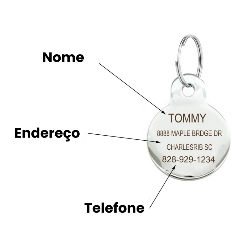 Pingente Colar Pet Personalizado Placa de Identificação de Gato com Nome Telefone Endereço