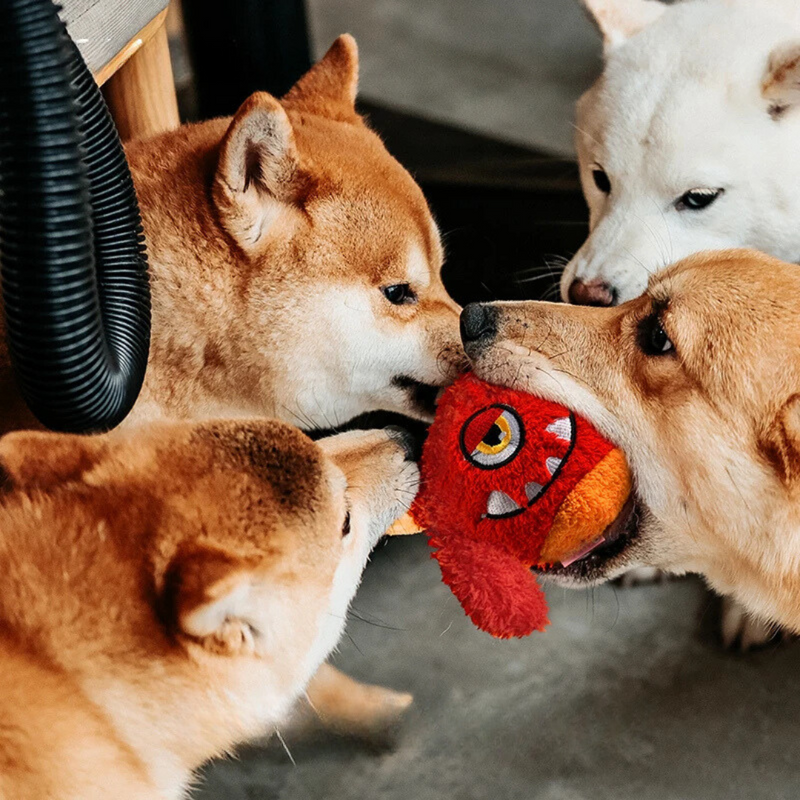 Pelúcia Monstro Brinquedo Q-Monster com Sons para Cachorros