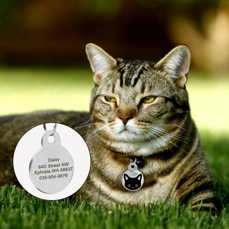 Pingente Colar Pet Personalizado Placa de Identificação de Gato com Nome Telefone Endereço