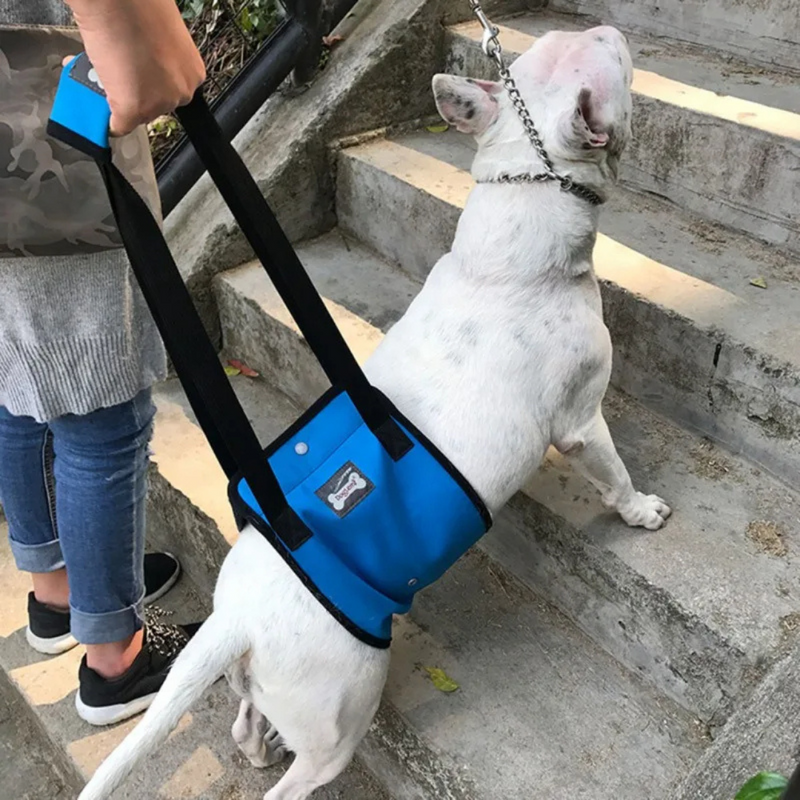 Suporte Cinta Sling para Patas Traseiras de Cachorros em Recuperação Cirúrgica em Tela Respirável