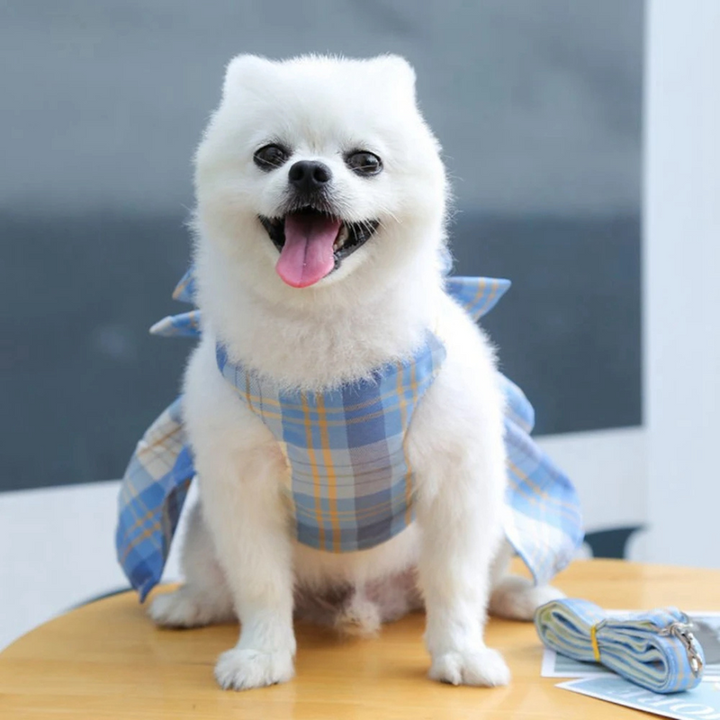 Vestido Pet com Laço Roupinha de Festa para Cachorros