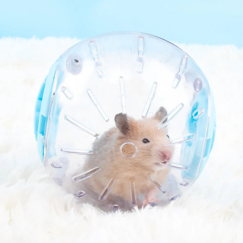 Bola Globo para Roedores Brinquedo de Exercício para Hamster Porquinho da Índia