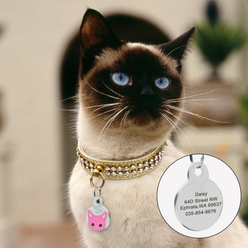 Pingente Colar Pet Personalizado Placa de Identificação de Gato com Nome Telefone Endereço