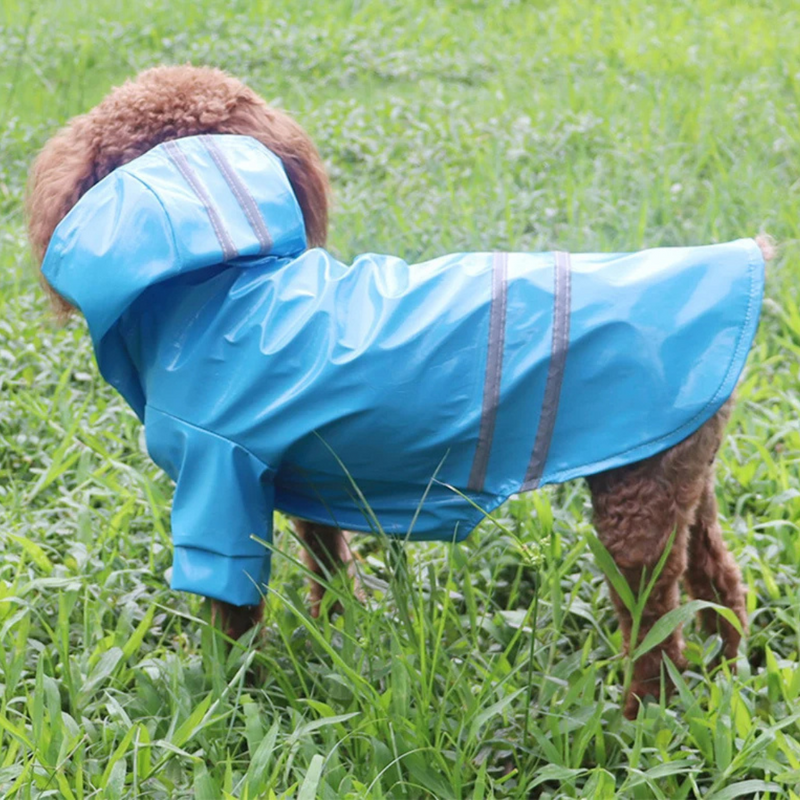 Capa de Chuva Pet com Capuz e Botões