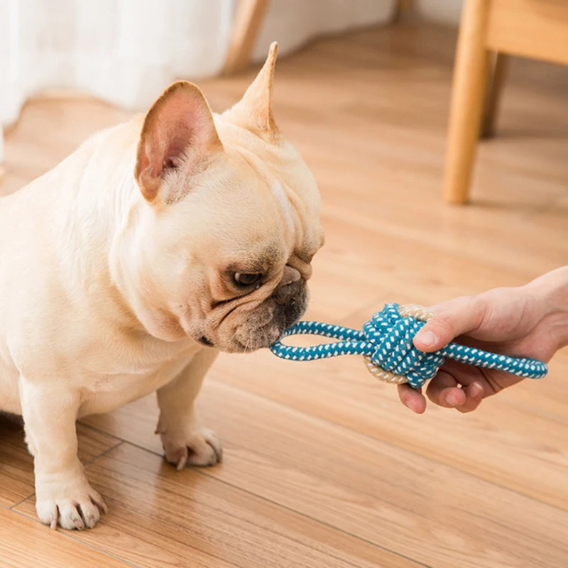 Bolinha Corda Pet Brinquedo Resistente para Cachorros