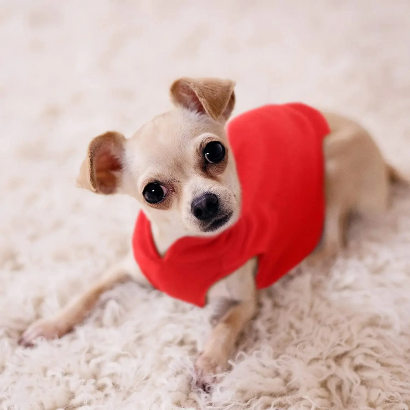 Casaco de Inverno Pet Roupinha Quentinha para Cães