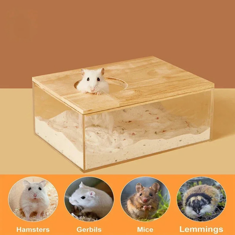 Recipiente de Banho para Roedores Caixa de Areia Banheira para Hamster Porquinho da Índia