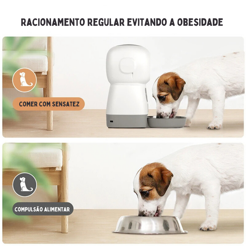 Alimentador Comedouro Pet Automático Inteligente Programável para Cães e Gatos