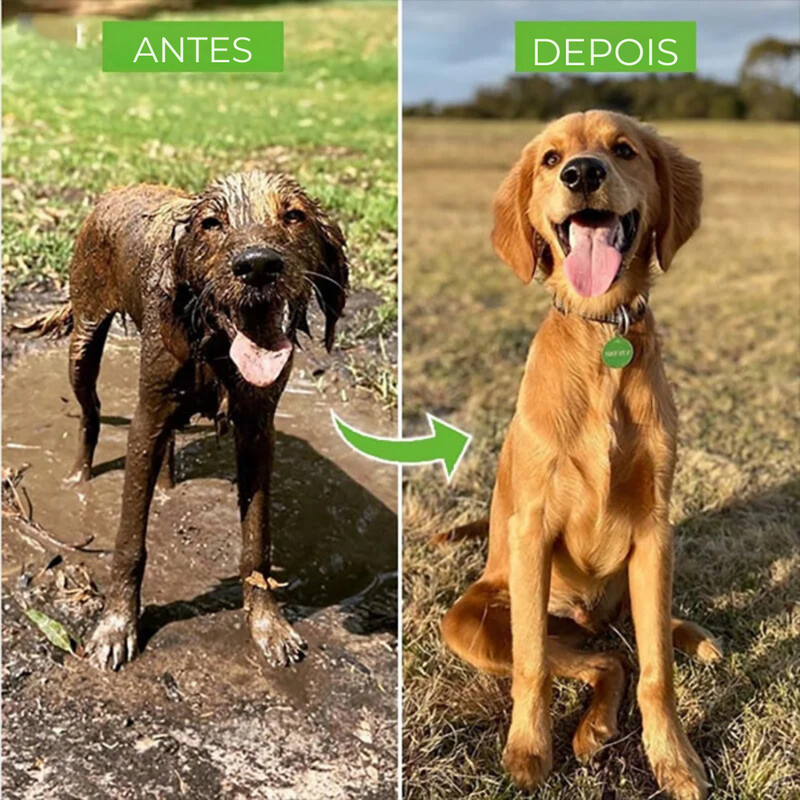 Pistola Pulverizador de Espuma para Banho em Cachorros