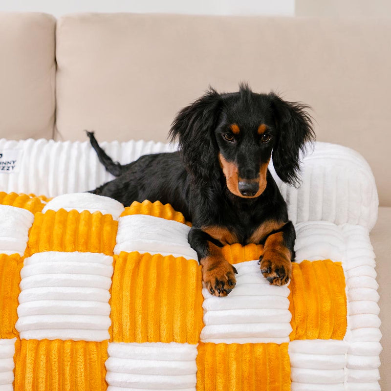 Protetor de Mobiliário para Cães em Tecido Quadriculado Beige e Confortável