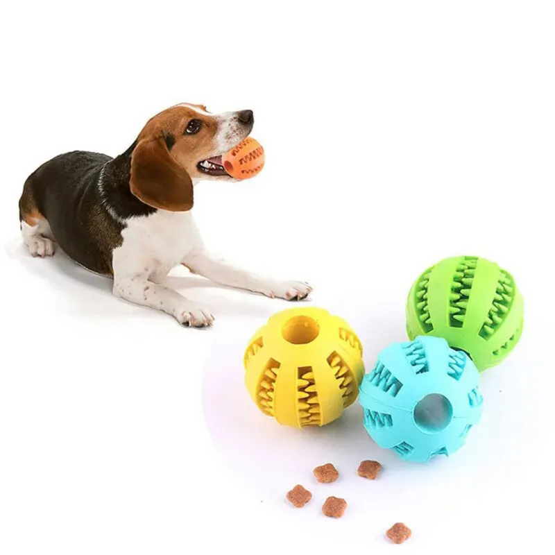 Bolinha Pet Dog Toy Ball Petisqueira