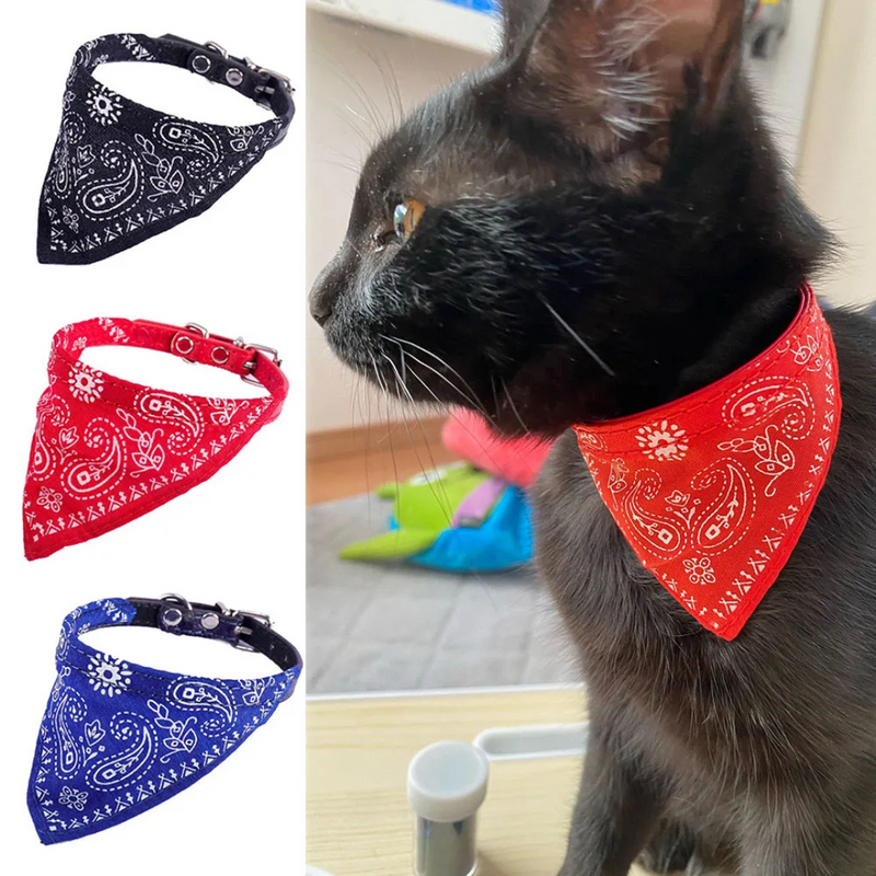 Bandana Pet Lenço para Gatos