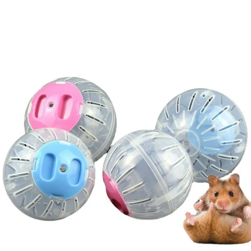 Bola Globo para Roedores Hamster Porquinho da Índia