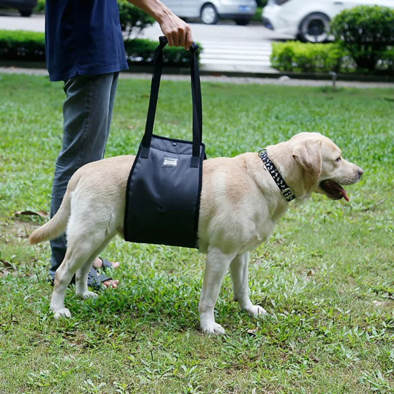 Suporte Cinta Sling para Patas Traseiras de Cachorros em Recuperação Cirúrgica em Tela Respirável