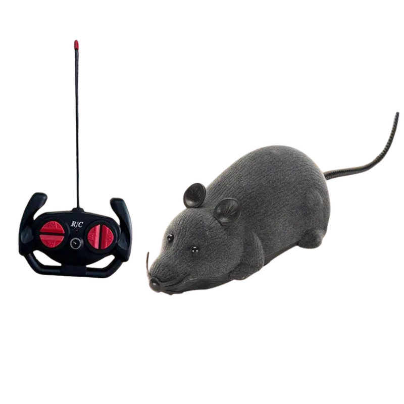 Brinquedo Rato Controle Remoto para Gatos