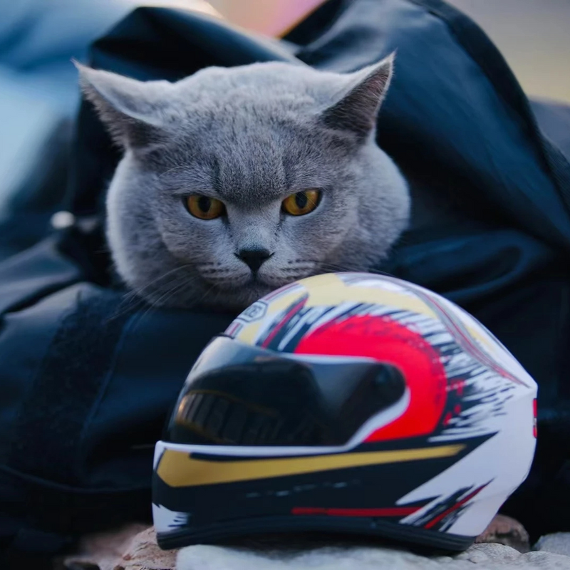 Capacete de Motocicleta para Cachorros e Gatos