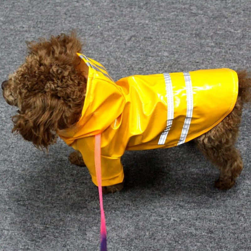 Capa de Chuva Pet com Capuz e Botões