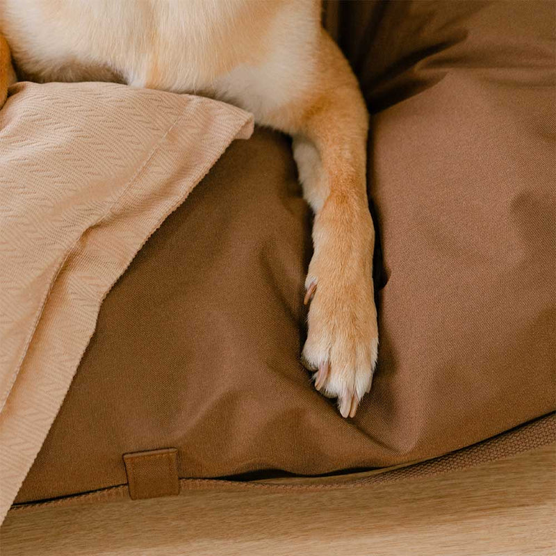 Cama para cachorro dobrável lavável natural listrada - Sofá Mocca Pup Lounger