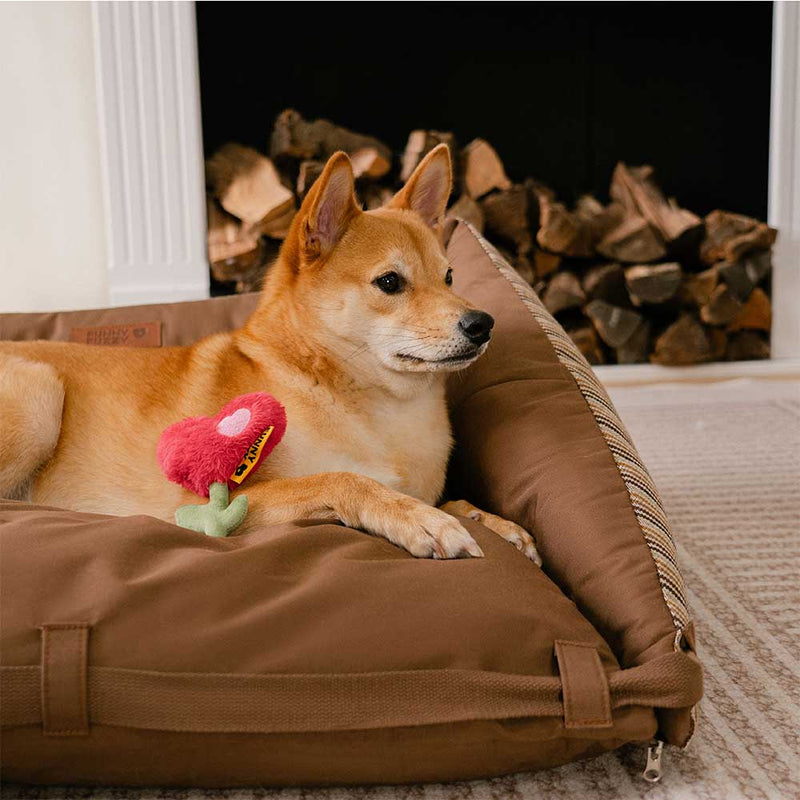 Cama para cachorro dobrável lavável natural listrada - Sofá Mocca Pup Lounger