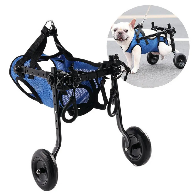 Cadeira de Rodas Pet Ajustável para Patas Traseiras