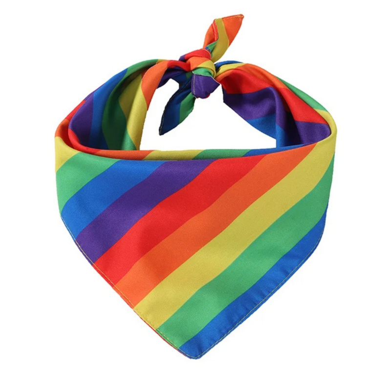 Bandana Lenço Pet Arco Iris para Cachorros