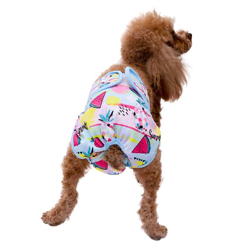 Calcinha Pet Fêmea Reutilizável Estampada