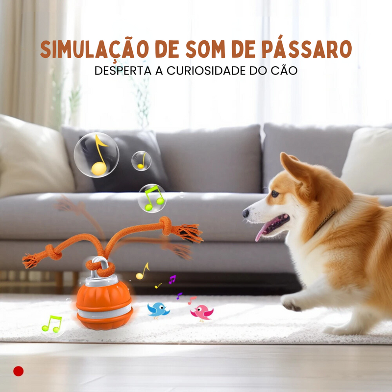 Brinquedo Bola Elétrica Giratória com Corda para Cachorros