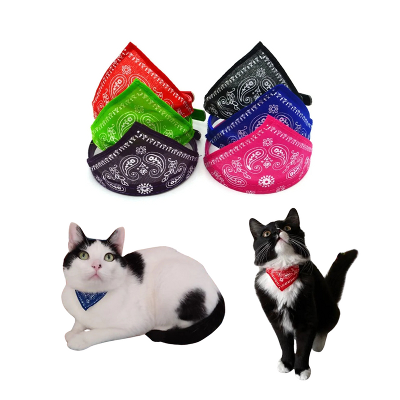 Bandana Pet Lenço para Gatos