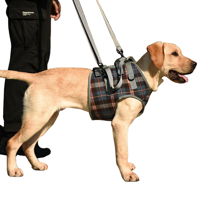 Suporte Sling com Alça Ajustável para Cachorros Idosos com Dificuldade de Andar Displasia Deficiência Pós Cirurgia