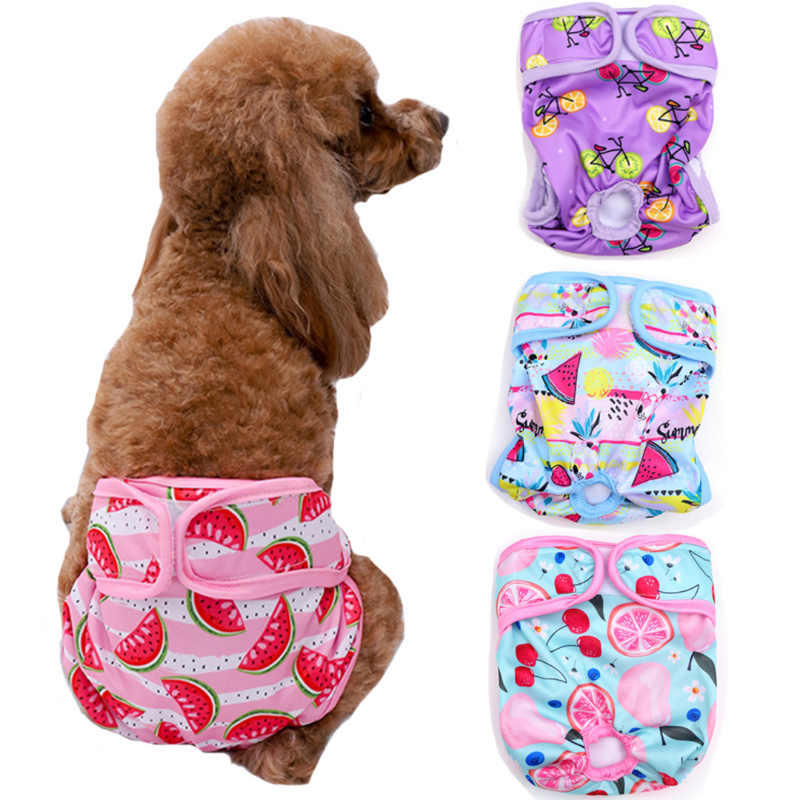 Calcinha Pet Fêmea Reutilizável Estampada