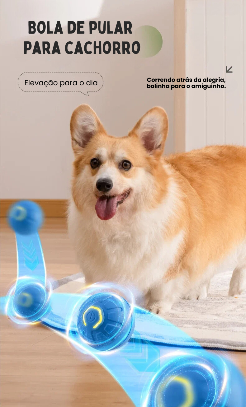 Bolinha Pet Inteligente Interativa Revestida de Silicone