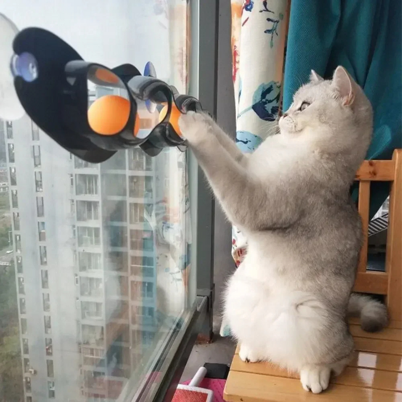 Brinquedo Túnel de Bolinhas com Ventosa para Gatos