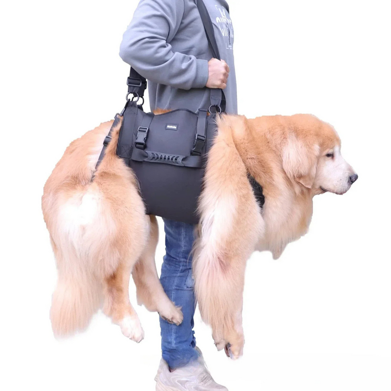 Suporte Sling para Transporte de Cães Idosos ou Deficientes com Dificuldade de Andar