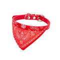 Bandana Pet Lenço para Gatos