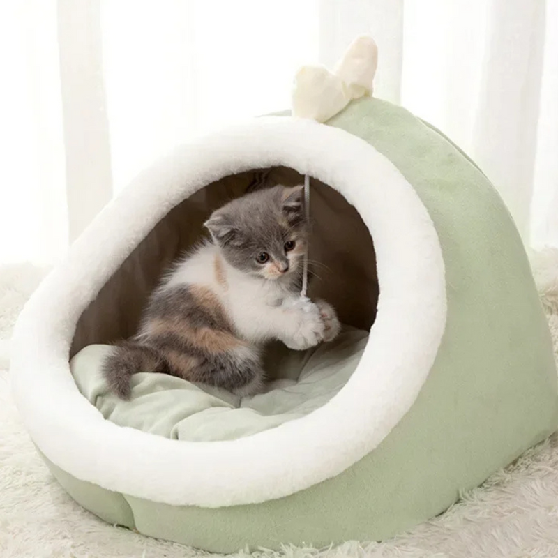 Cama Iglu Gatinho Acolchoada