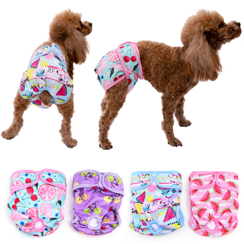 Calcinha Pet Fêmea Reutilizável Estampada