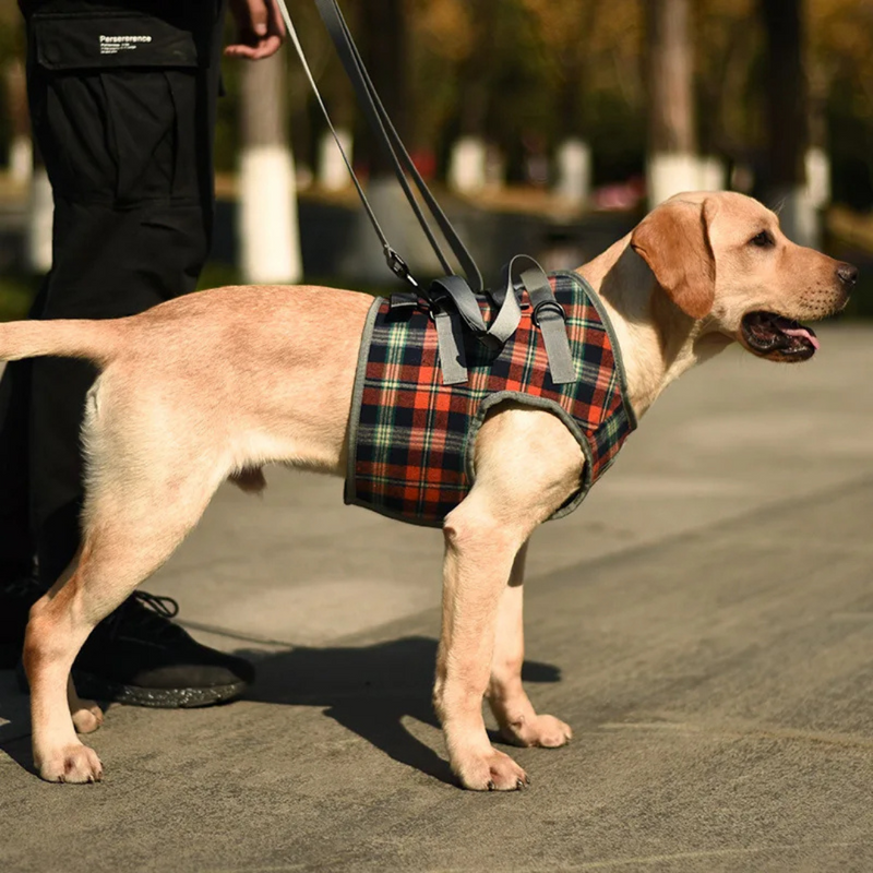 Suporte Sling com Alça Ajustável para Cachorros Idosos com Dificuldade de Andar Displasia Deficiência Pós Cirurgia