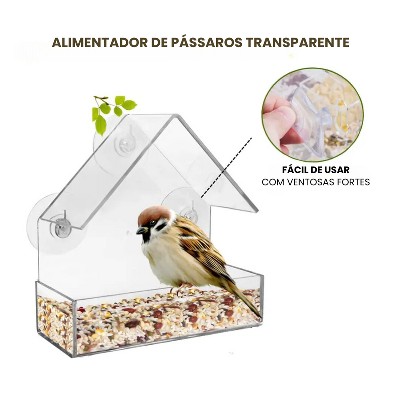 Alimentador de Pássaros Comedouro Casinha Ar Livre Beija-Flor