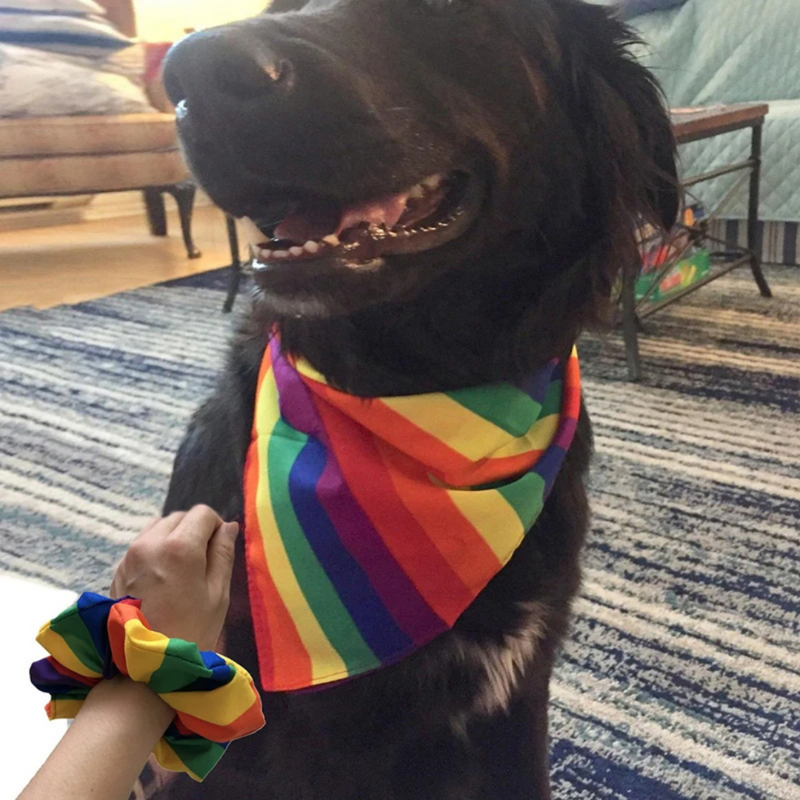 Bandana Lenço Pet Arco Iris para Cachorros