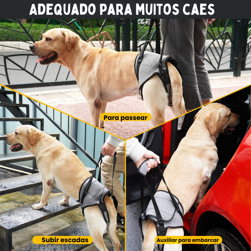 Suporte Auxiliar Sling para Cães com Dificuldade de Andar Displasia Deficiência