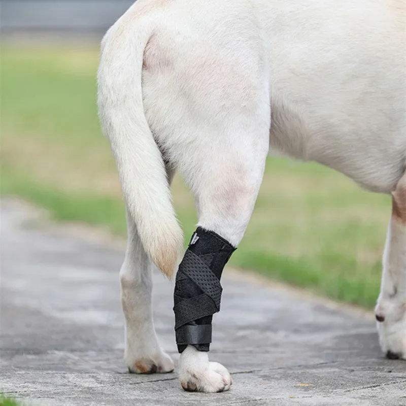 Bandagem Protetora de Articulação para Joelhos e Cotovelos de Cachorros