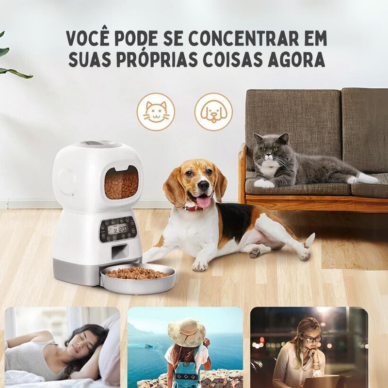 Alimentador Comedouro Pet Automático Inteligente Programável para Cães e Gatos