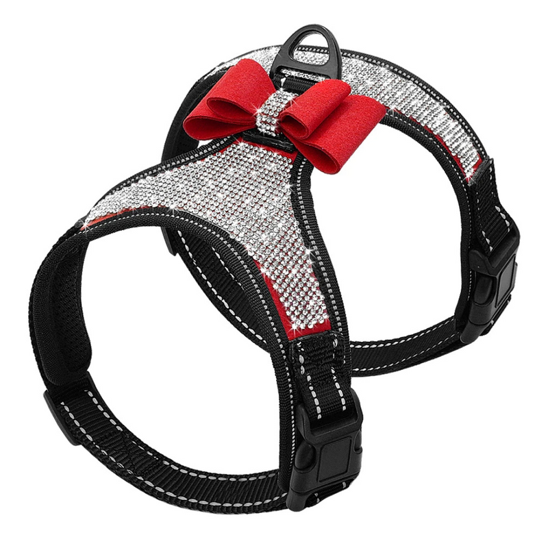 Peitoral Coleira com Gliter Strass para Cachorros